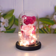 Little Bear Glass Cover Ornament - Christmas & Valentine’s Gift