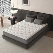 Spring-loaded Hybrid Mattresses